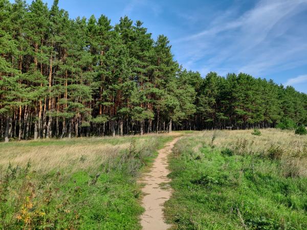 sdfsdf Продается трехкомнатная квартира в городе Озеры Московской области