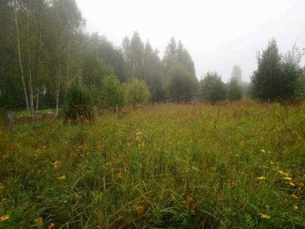 sdfsdf Продается земельный участок в деревне Сенцово Озерского района Московской области