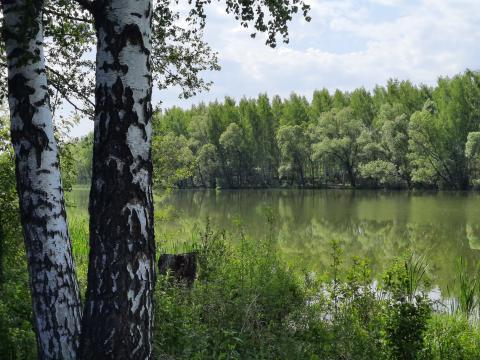 Продается земельный участок в СНТ Энергетик вблизи деревни Кореньково Каширского района Московской области